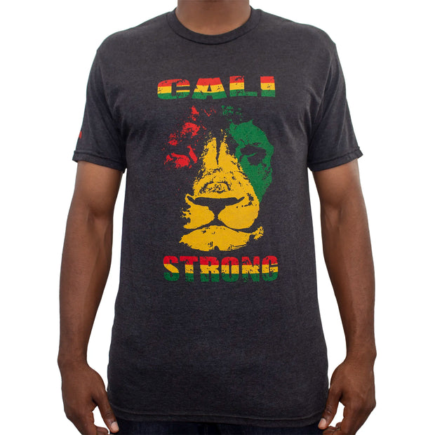 Lion Rasta T-Shirt