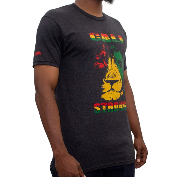 Lion Rasta T-Shirt