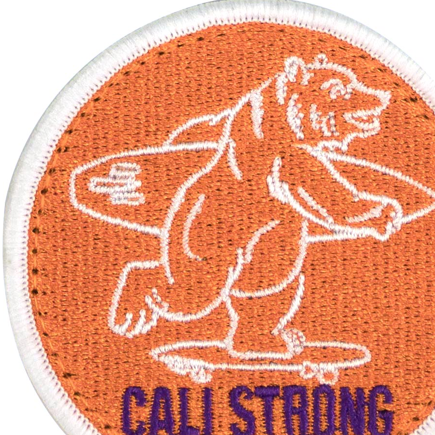 Bear Orange Patch