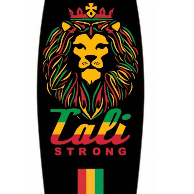 Rasta Longboard Pintail