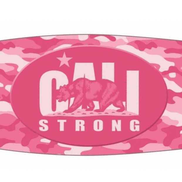 Urban Pink Longboard