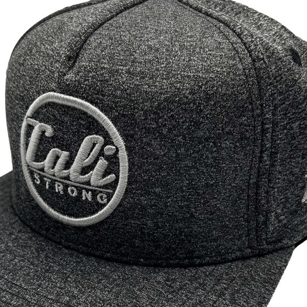 Classic Flat Bill Silver